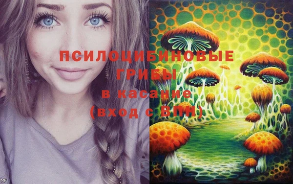 ECSTASY Медногорск