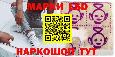 индика Ирбит