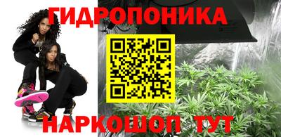 индика Ирбит