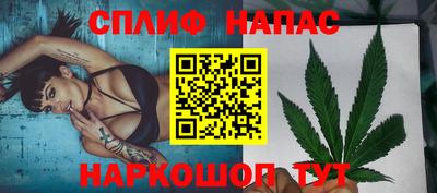 индика Ирбит