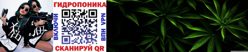 ОМГ ОМГ сайт  нарко площадка официальный сайт  Каннабис OG Kush  Уссурийск 